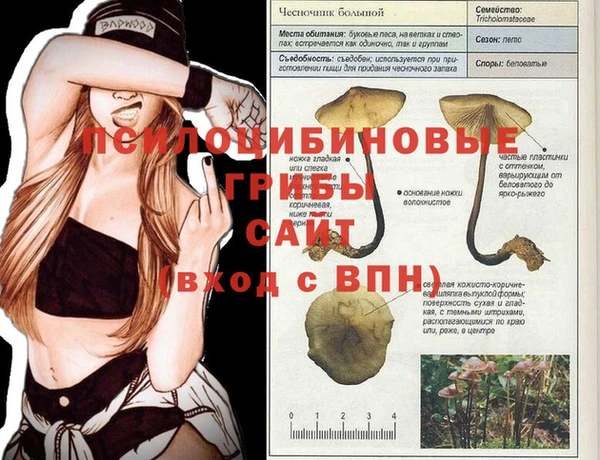 круглые Алексеевка